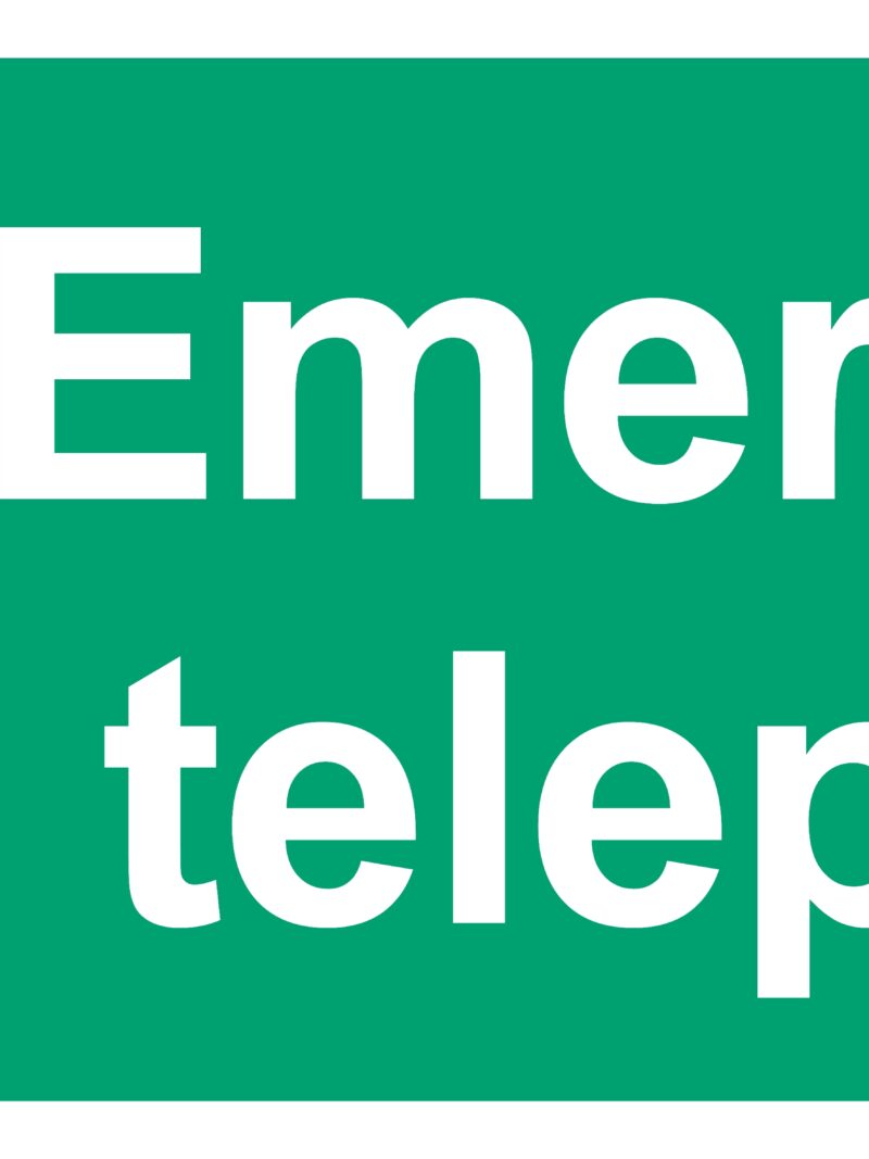 FB102 Emergency telephone