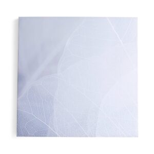 Panel akustyczny IMAGE, zimowy liść, 1200x1200 mm, szary