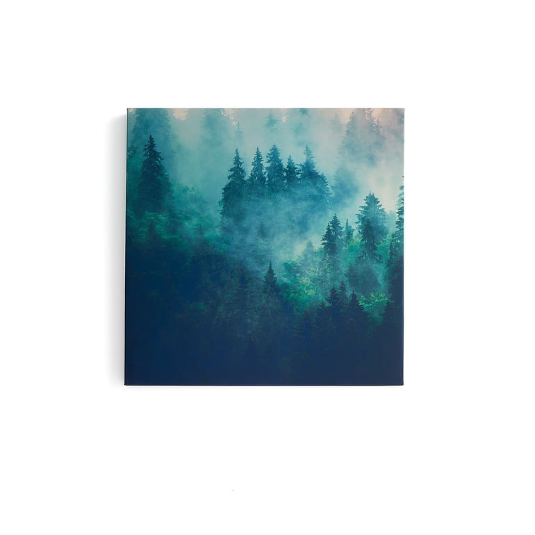 17112025691b53826cd91.jpeg
