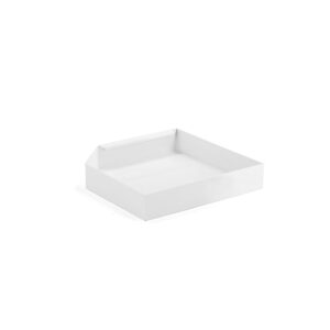 Półka wychwytowa, do szaf na chemikalia FORMULA, 525x545x100 mm, 28 L