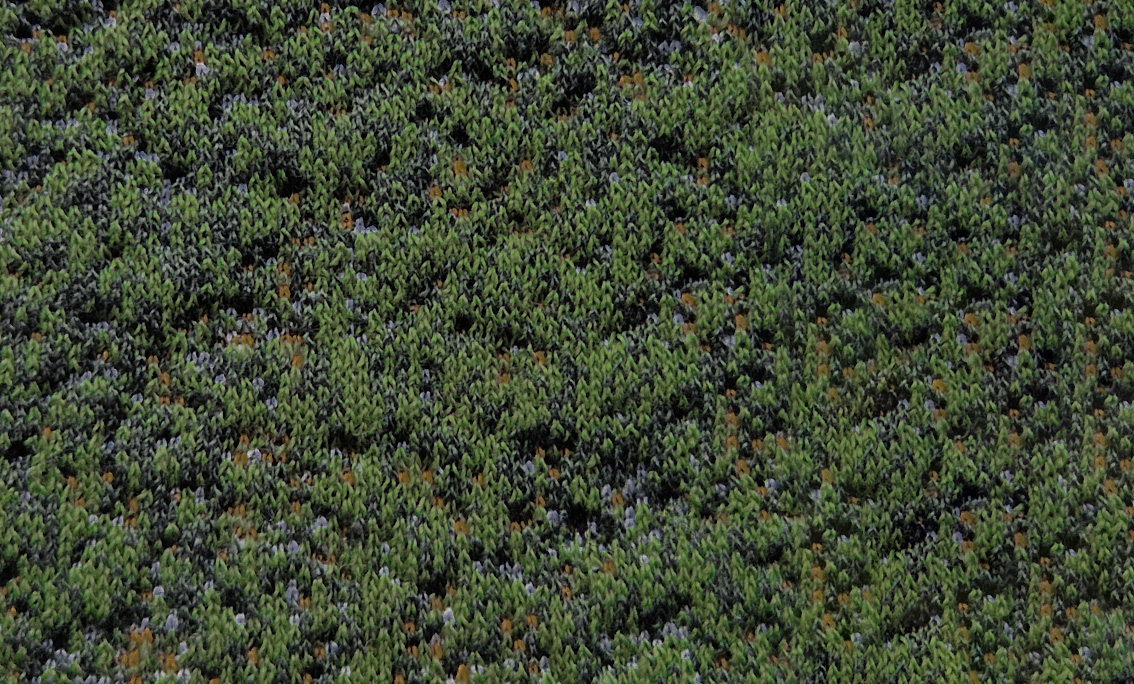 170620266a32c64ad0fbf.jpeg