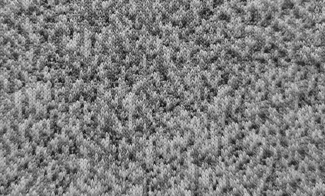 170620266a32c6734a845.jpeg