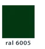 ral 6005